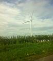Parc éolien de Saint-Aubin-sur-Aire